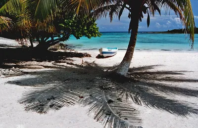 Chemuyil Mexico: The Hidden Eden of the Riviera Maya