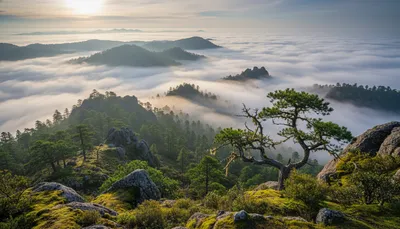 Ultimate Guide to Hiking the Pueblos Mancomunados: Oaxaca's Cloud Forest Circuit