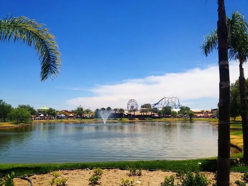 Tree-lined walkway and garden paths in the San Marcos area of Aguascalientes