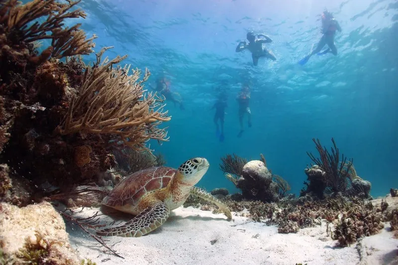 Akumal beach in April with sargassum-aware Riviera Maya swimming conditions