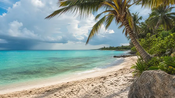 Akumal in August: Weather, Turtles & Sargassum