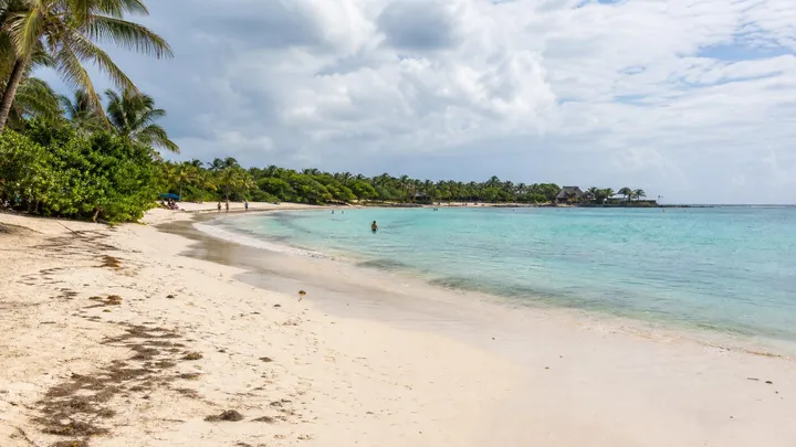 Akumal in July: Weather, Turtles & Sargassum
