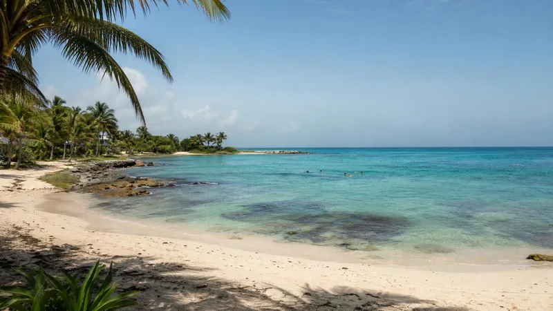 Akumal Bay in June with turquoise water, pale sand, and summer Riviera Maya beach weather