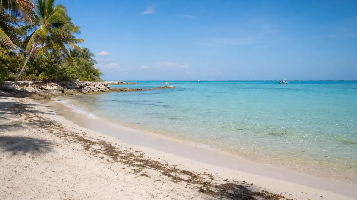 Akumal in May: Weather, Turtles & Sargassum