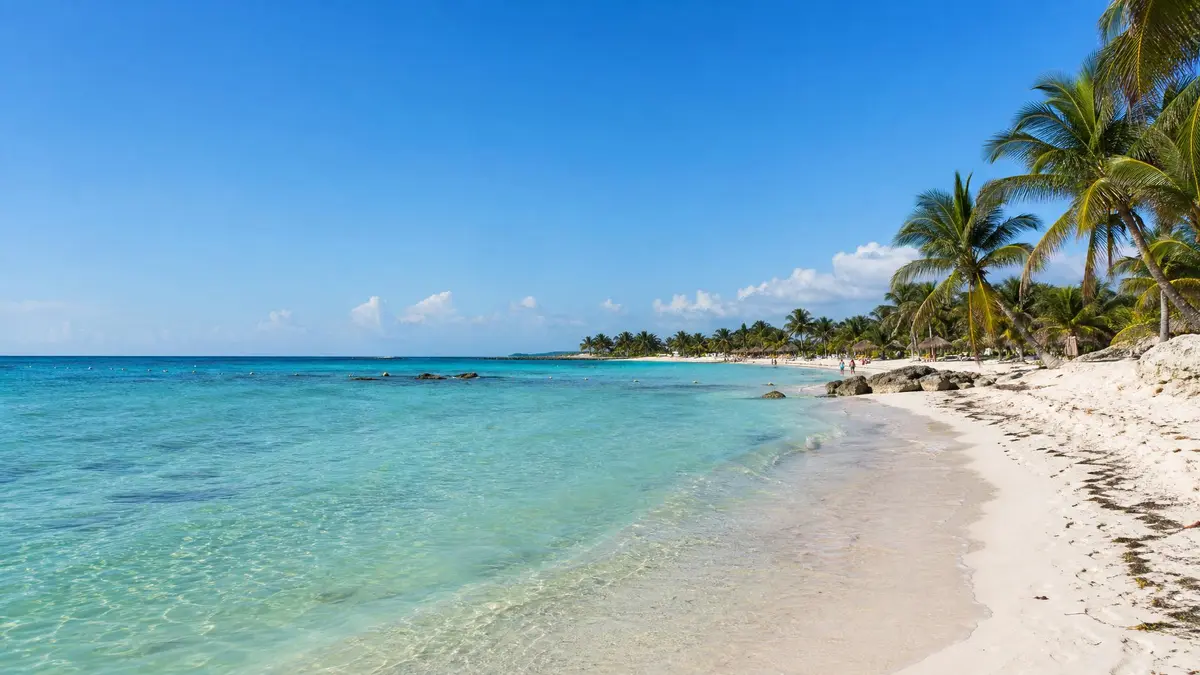Akumal in November: Weather, Turtles & Sargassum