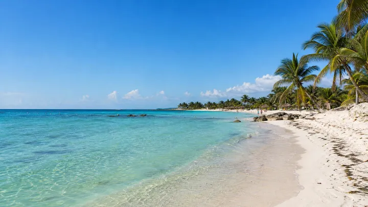 Akumal in November: Weather, Turtles & Sargassum