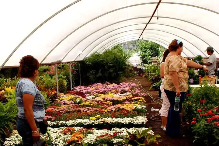 Atlixco in April: Weather, Flowers & Puebla Tips