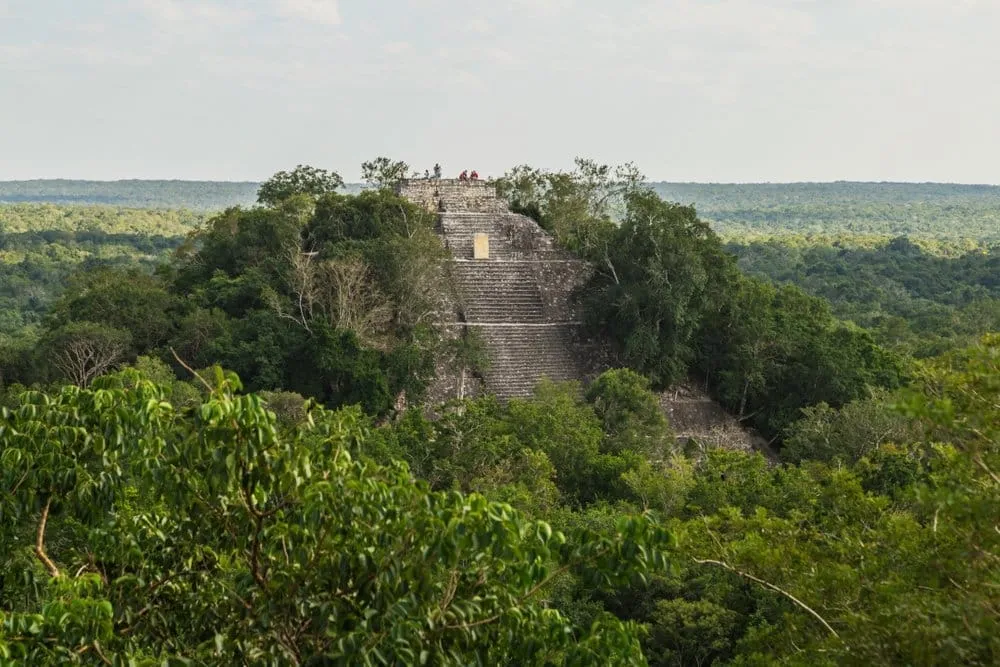 Jungle-covered Calakmul ruins on a day trip from Bacalar