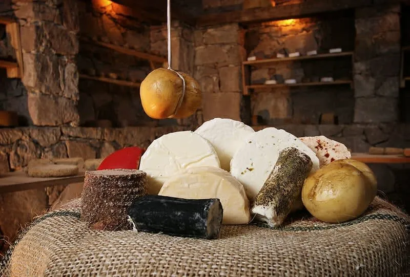 Artisan cheese from Querétaro state — regional dairy products including fresh queso and aged varieties