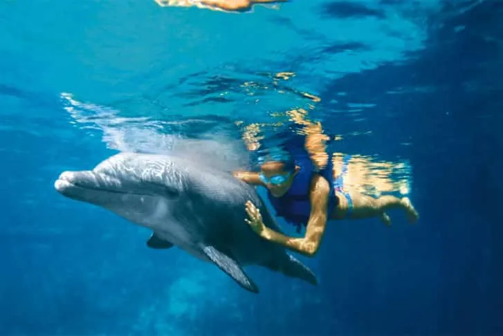 Dolphin encounter pool at Delphinus Punta Cancun for families