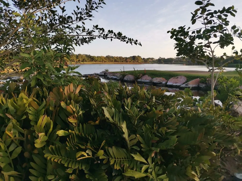 El Jaguar Golf Course in Merida with lakes, palms, and wide green fairways