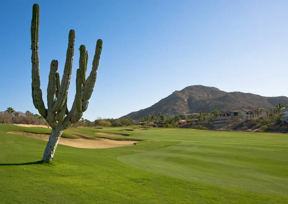 Querencia golf green in Los Cabos overlooking desert hills and the Sea of Cortez