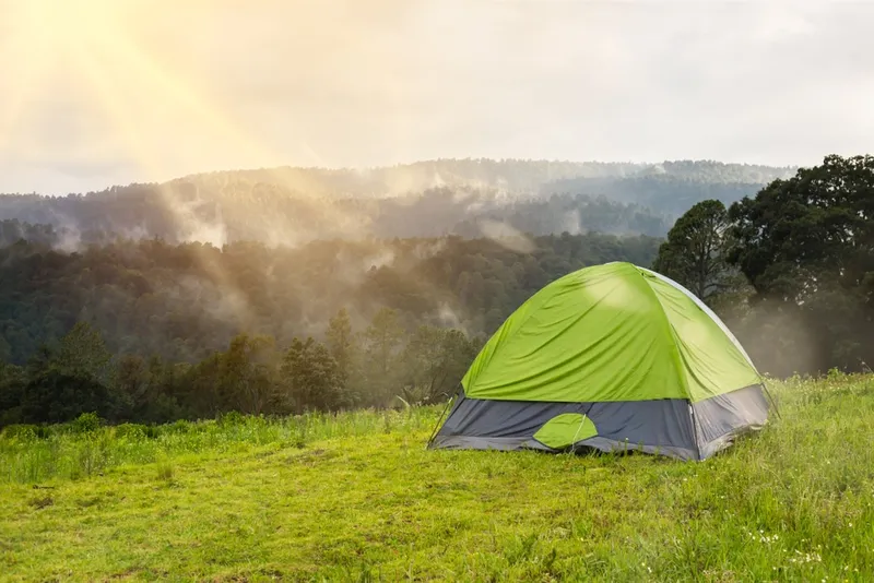 Tent campsite set up beside a quiet Mexico beach with palms, sand, and open sky