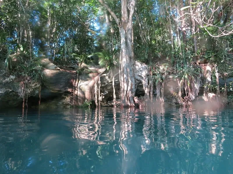 Cenote Angelita near Tulum — halocline creates a visual river effect where fresh and saltwater meet at 30 meters