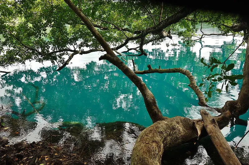Cenote Azul near Valladolid in the Yucatan Mexico