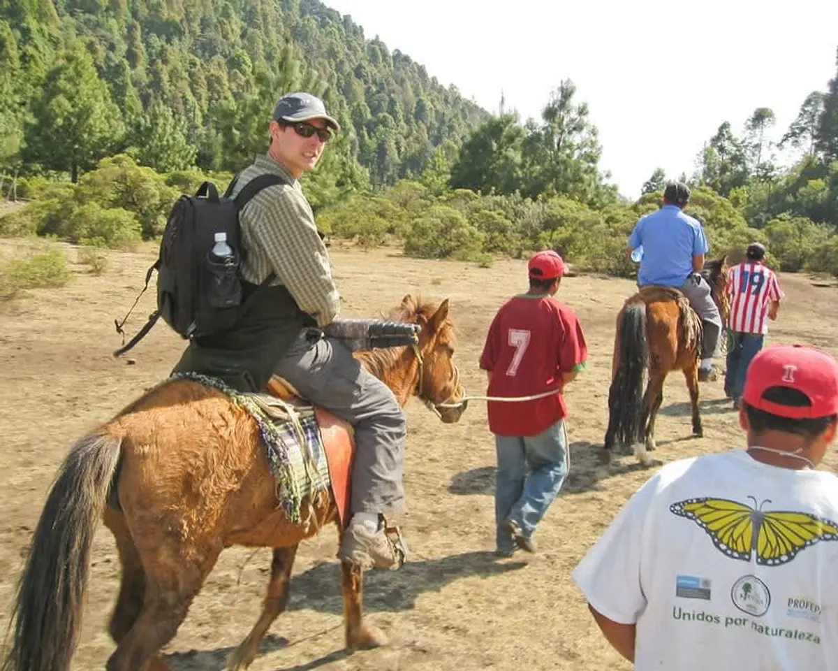 Chasing Monarchs: A Guide to Mexico&#8217;s Best Butterfly Sanctuaries