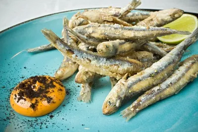 Charales Fish: Unveiling Nature&#8217;s Miniature Marvels
