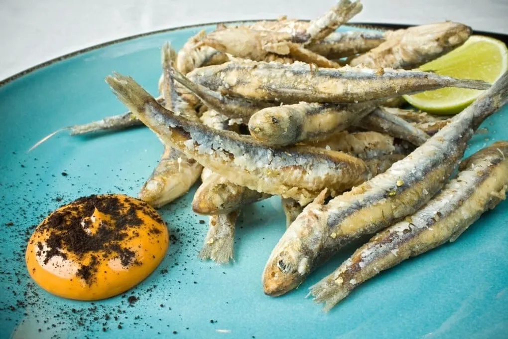 Charales Fish: Unveiling Nature’s Miniature Marvels