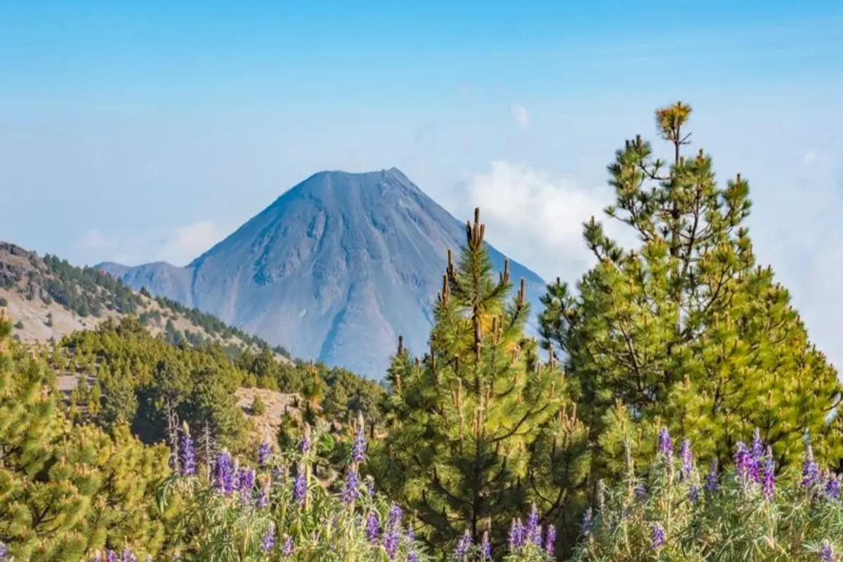 Colima in June: Weather & Travel Tips