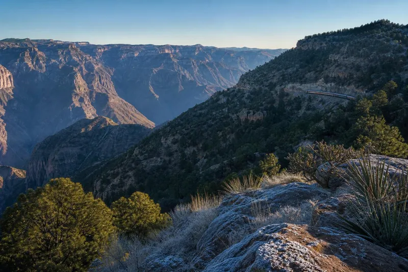 Copper Canyon ridges and pine forest in clear winter light above the Sierra Tarahumara