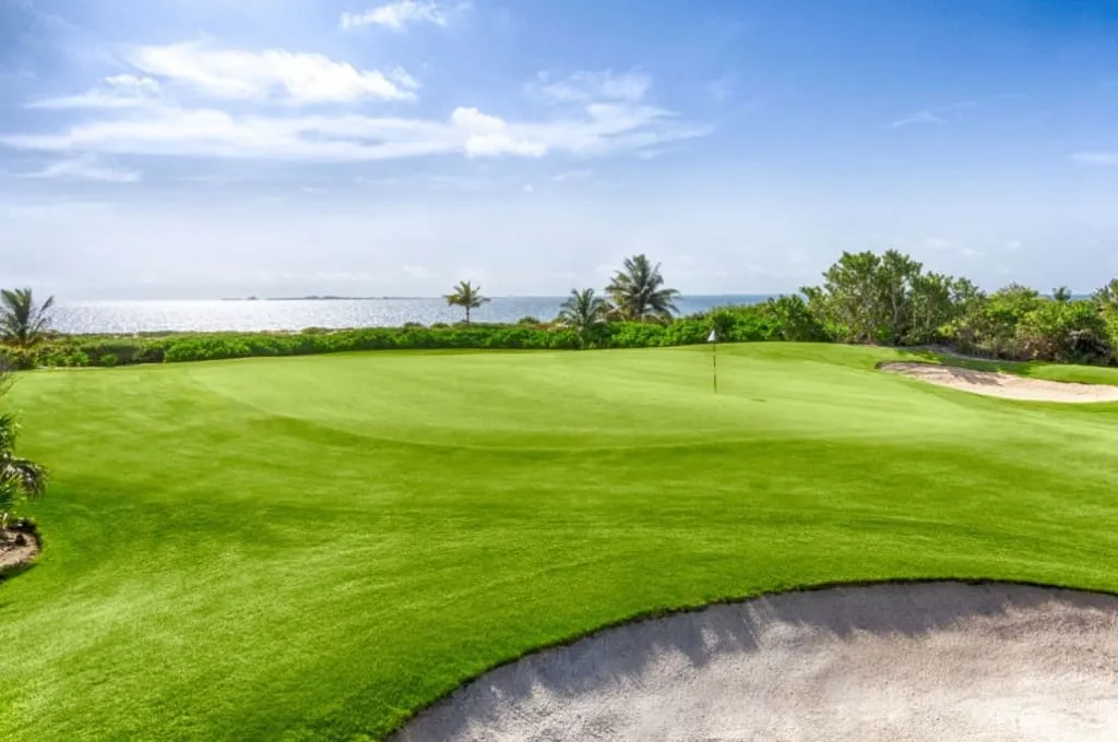 Playa Mujeres golf fairway bordered by palms and coastal vegetation