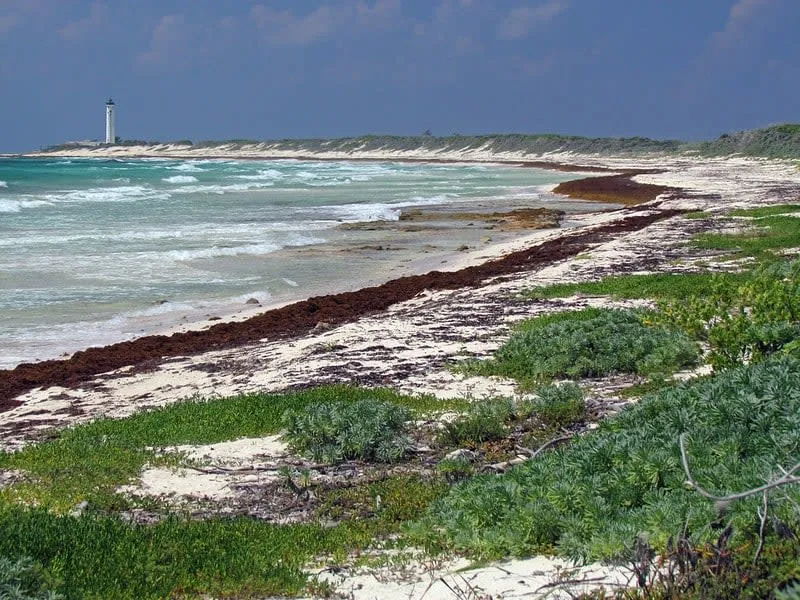 Wide quiet shoreline at Playa Encantada near Punta Celarain