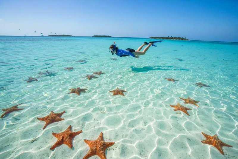 El Cielo snorkeling in Cozumel during November reef and sandbar conditions