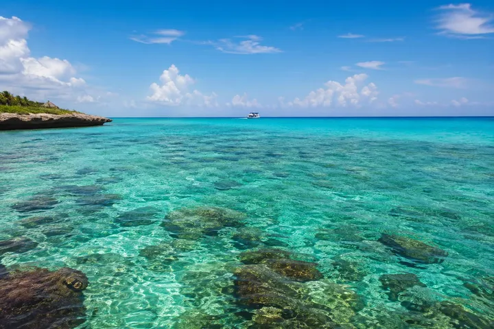 Cozumel in July: Weather, Sargassum & Diving