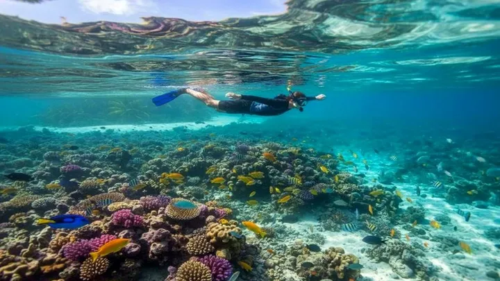 Cozumel in May: Weather, Sargassum & Diving Tips
