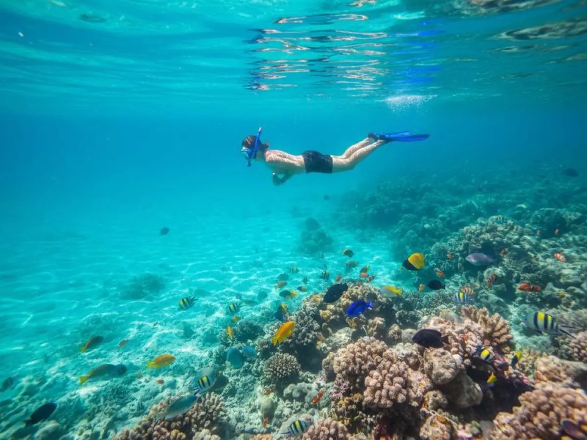 Cozumel in November: Weather, Diving & Value