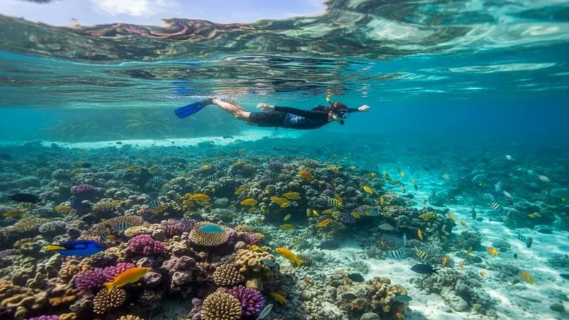 Cozumel west coast used as an October sargassum-aware reef backup from Akumal