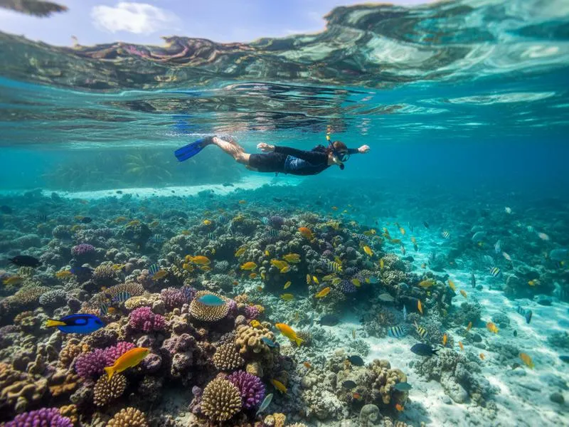 Scuba diver exploring Palancar Reef in Cozumel with coral formations and clear blue water