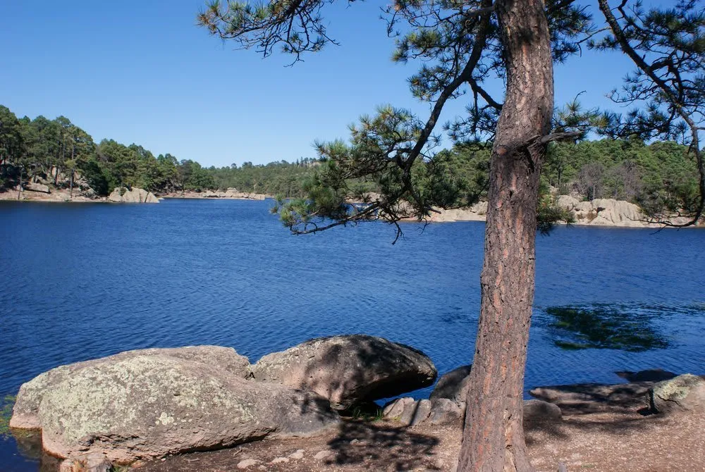 Lago Arareko lake near Creel Chihuahua with pine forest reflection in calm water and Sierra Tarahumara mountains