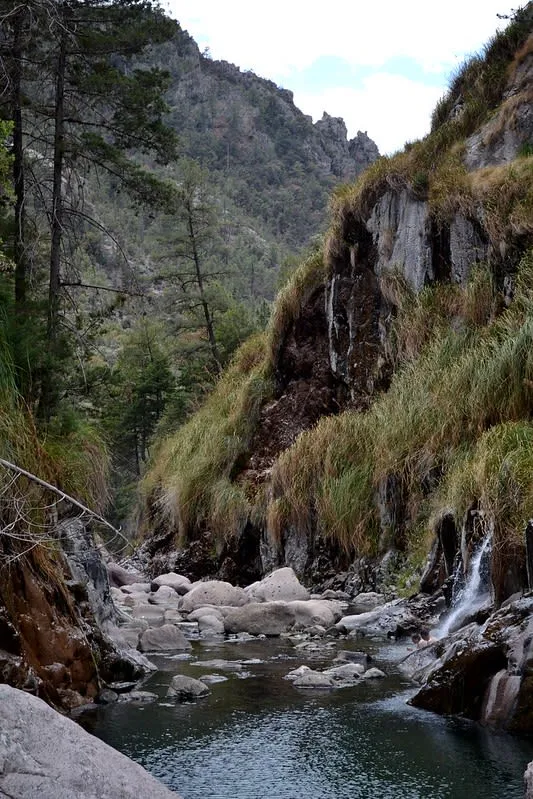 Recowata hot springs in Tararecua Canyon near Creel Chihuahua with natural thermal pools in canyon walls
