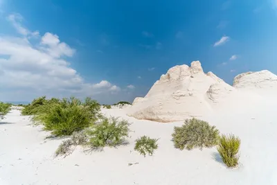 Journey to Cuatro Cienegas: Mexico&#8217;s Enchanted Wilderness