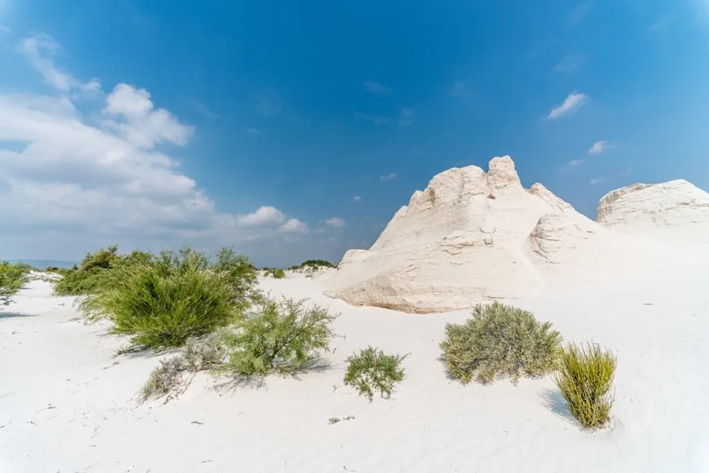 Journey to Cuatro Cienegas: Mexico’s Enchanted Wilderness