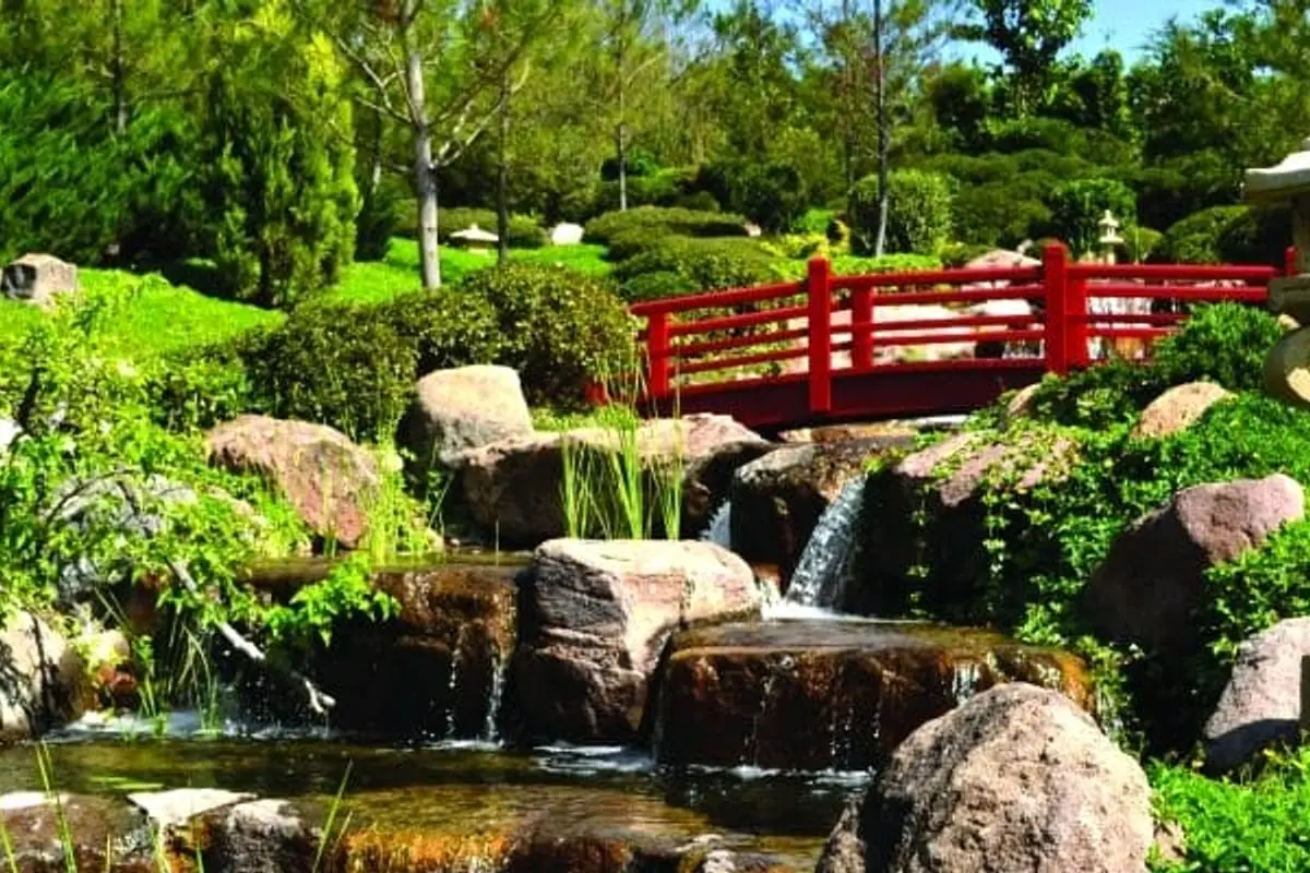 Cuernavaca in March: Weather, Gardens & CDMX Escape Tips
