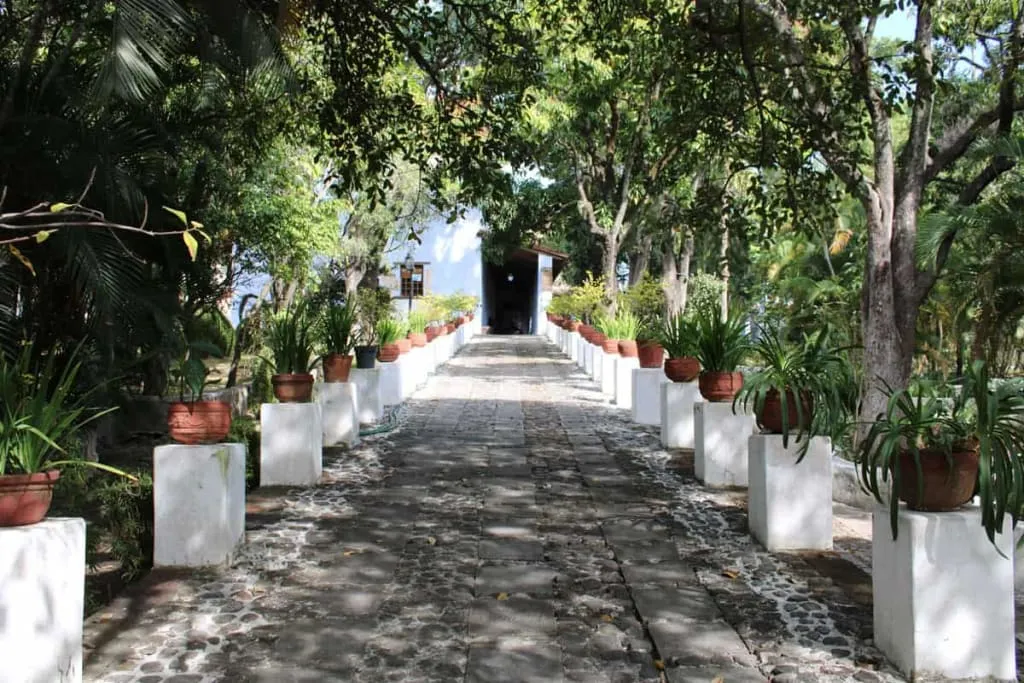 Borda Garden in Cuernavaca Morelos Mexico with colonial fountains and gardens where Emperor Maximilian spent summers