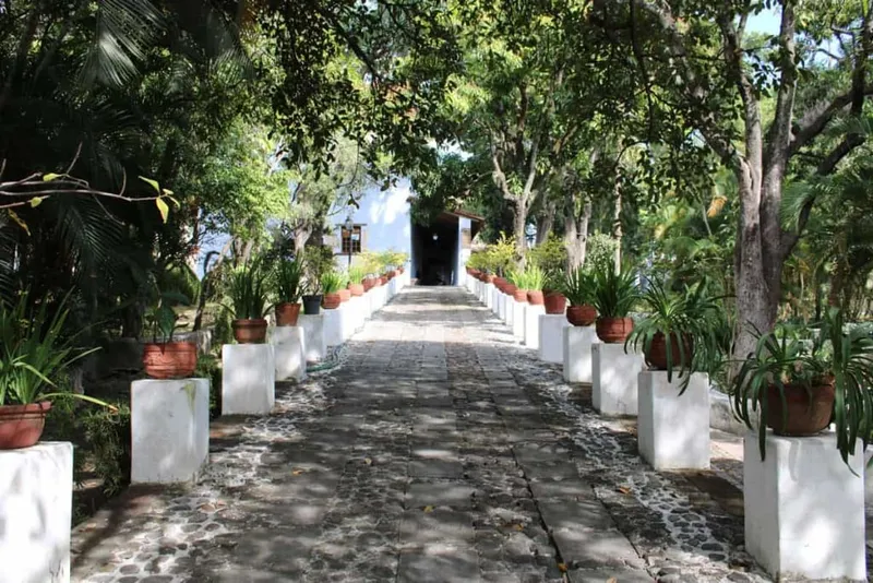 Borda Garden walkway in Cuernavaca with trees and colonial walls after rain