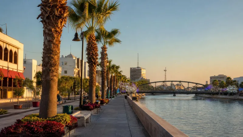 Dry-season Culiacan riverwalk with palms, warm December light, and subtle holiday lights