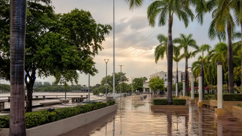 Wet palm-lined Culiacan plaza after a July rain shower with warm Sinaloa evening light