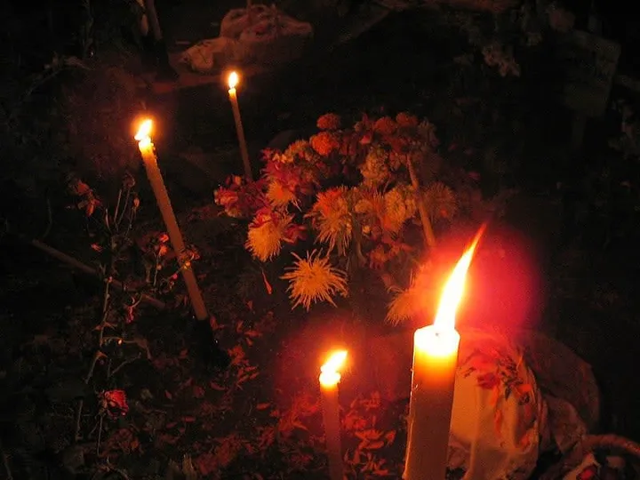 Mexico in November 2026: Day of the Dead, Monarchs & Perfect Weather