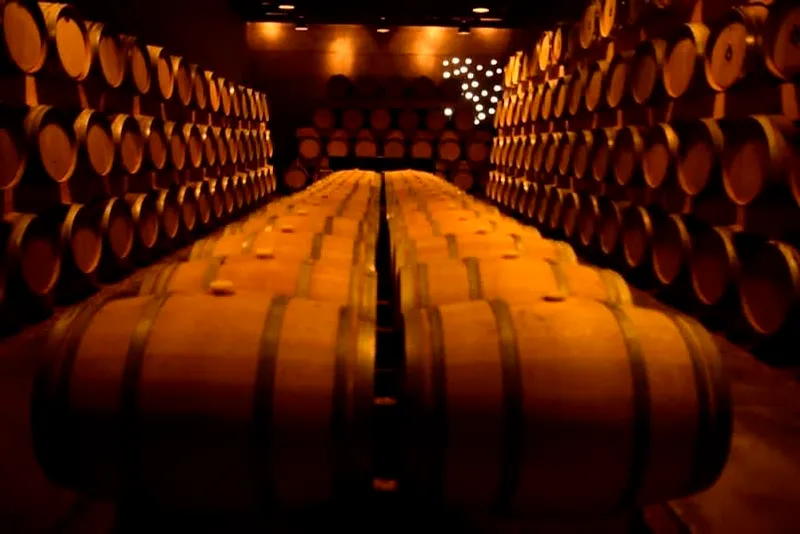 Guanajuato wine country near Dolores Hidalgo during August green season
