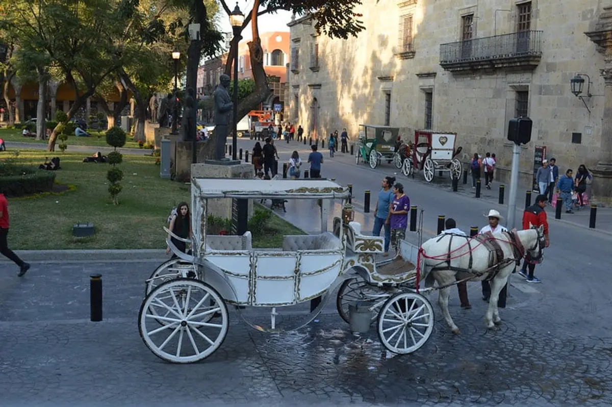 Guadalajara Downtown Visitors Guide: 10 Essential Experiences