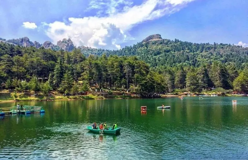 El Chico National Park forest near Pachuca during a July highland trip