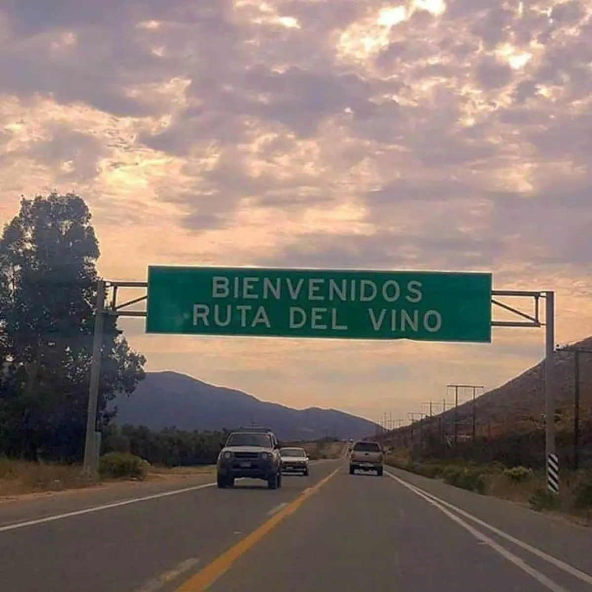 Ensenada in October: Weather, Wine & Baja Tips