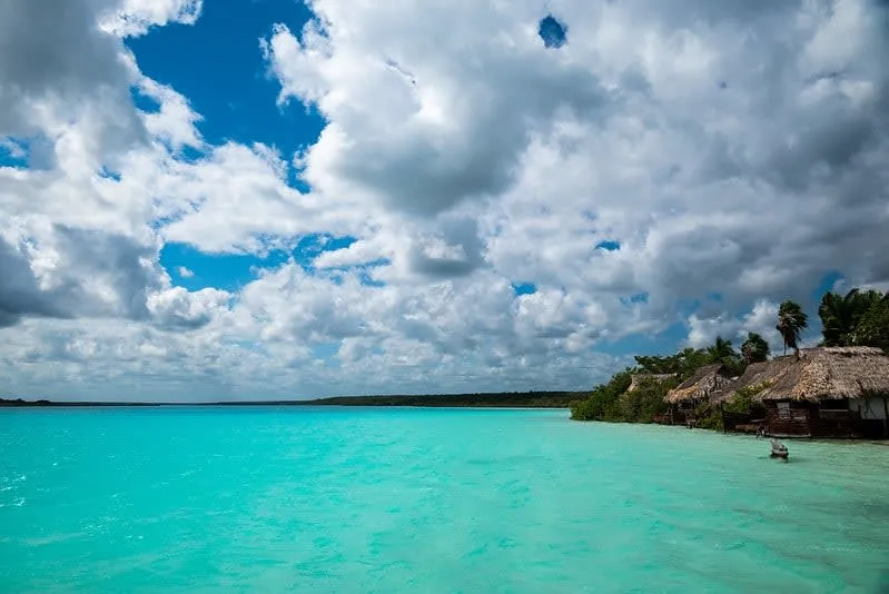 Clear blue Bacalar lagoon water beside a quiet shore