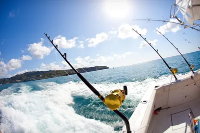 Fishing in Mexico: Top Saltwater and Freshwater Picks