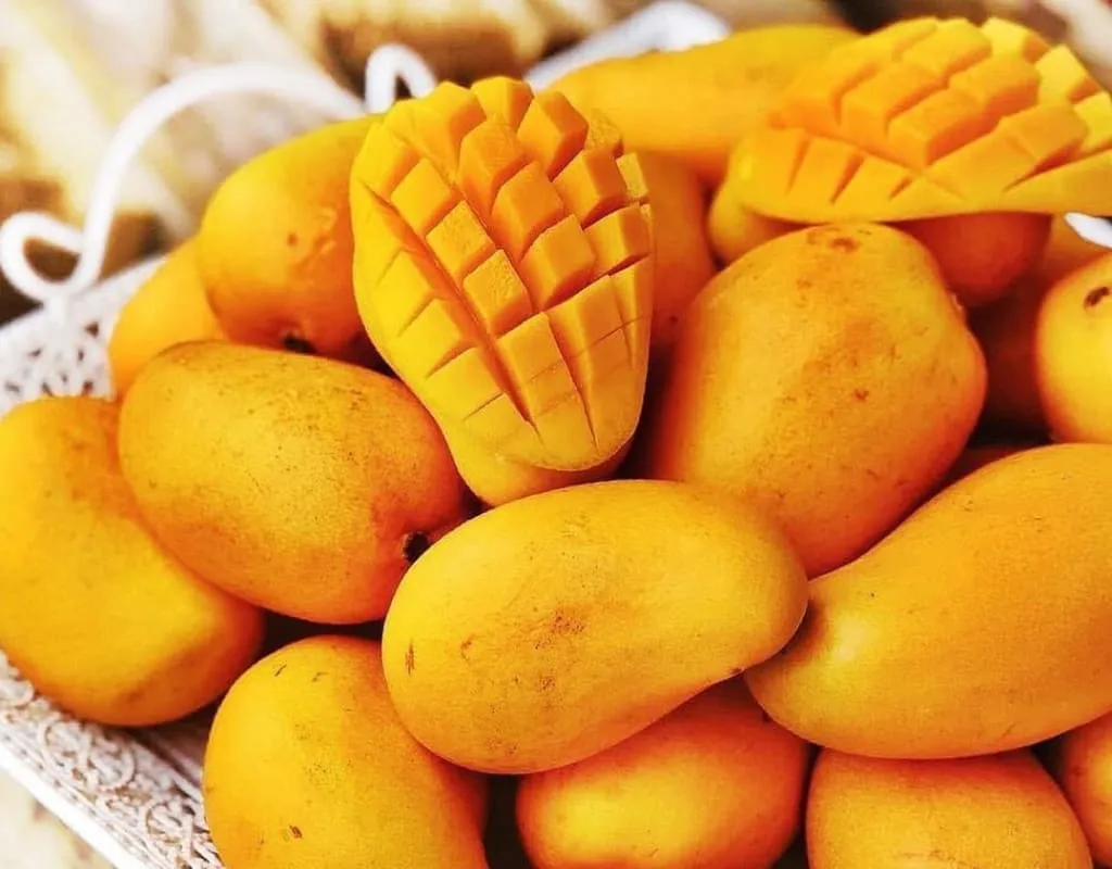 Ataulfo mangoes from Chiapas with golden skin and sweet pulp