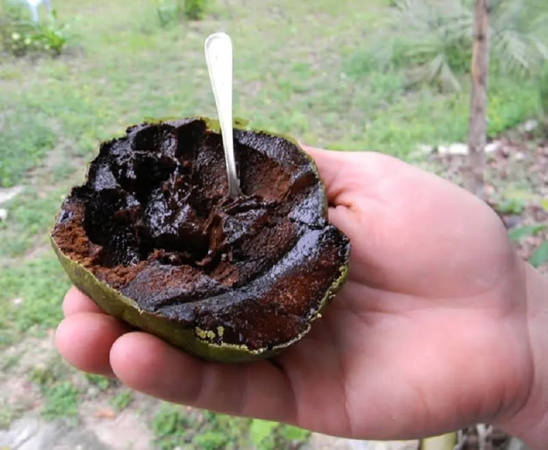 Cut black sapote showing its soft dark interior